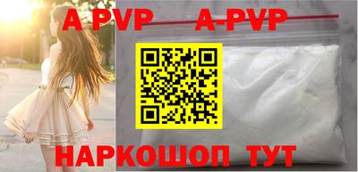 СК Бийск