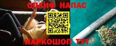 СК Бийск