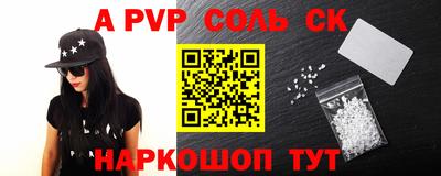 СК Бийск