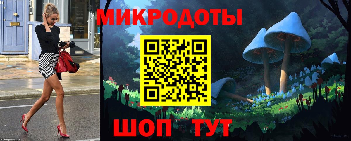 Псилоцибиновые грибы Cubensis Канаш