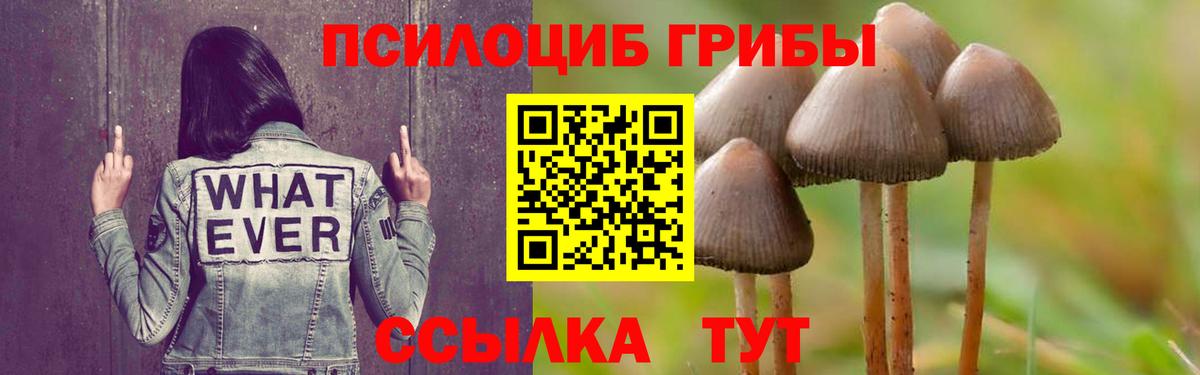 Галлюциногенные грибы мицелий  Вход с VPN  Канаш 