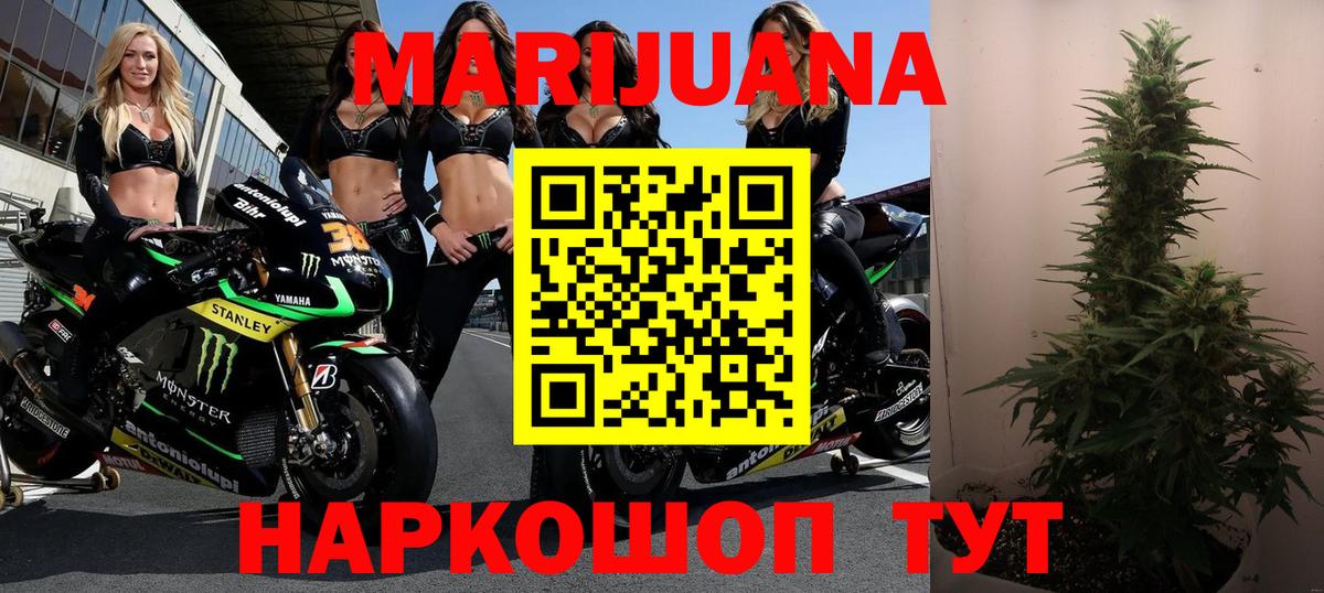 Бошки Шишки планчик  МАРИХУАНА семена  Вход с VPN  Шишки марихуана план  Канабис OG Kush  Канаш 